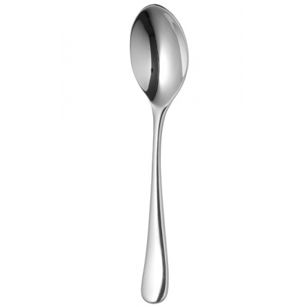 Radford Bright Coffee Spoon