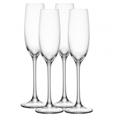 Salute Champagneglas 21cl, 4-Pack