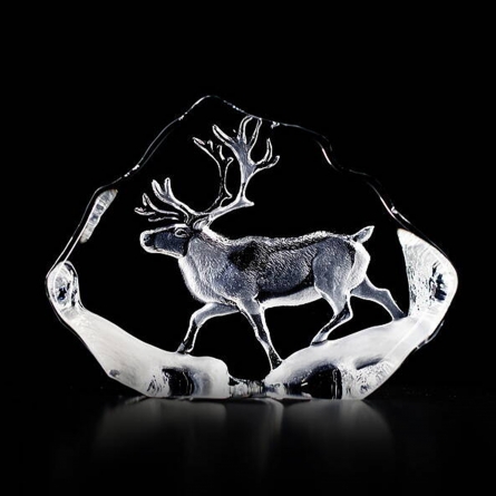 Reindeer