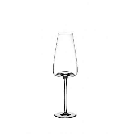 Vision Champagne glass Rich, 2-pack