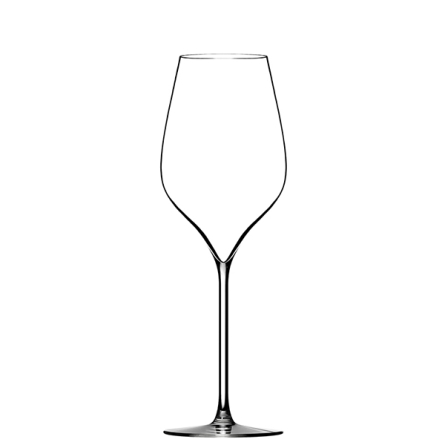 M5 Champagne Glass 30cl, 6-pack