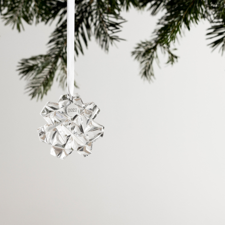 Annual Ornament Nivis 2022