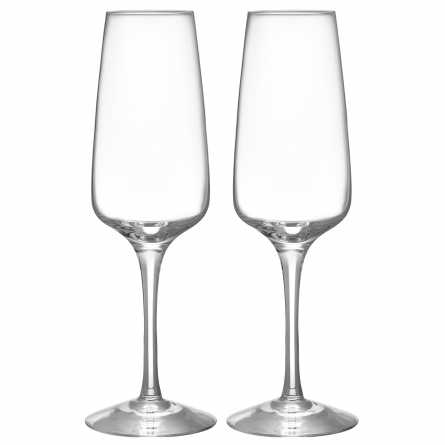 Pulse Champagne Glass 28cl, 2-pack