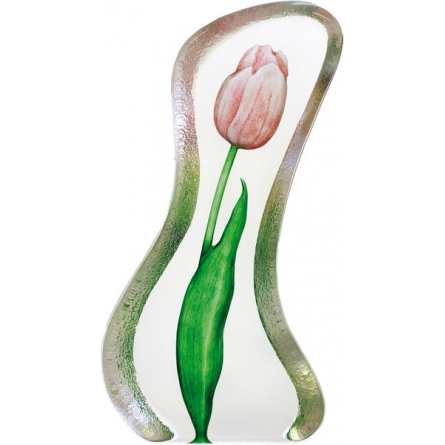 Tulip rosa groß